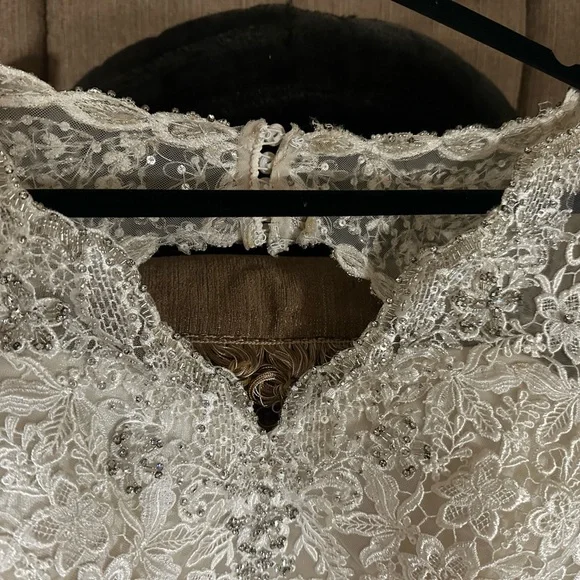 Elegant Lace Wedding Dress - Picture 8 of 10